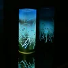 Fire Flies 3 - Image 3