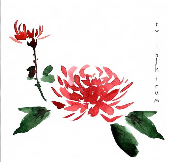 Chrysanthemums - Image 10
