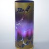 Lamp shown with flood lit backdrop displaying face view.