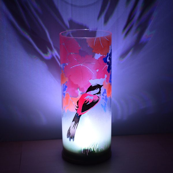 Shown in dim light