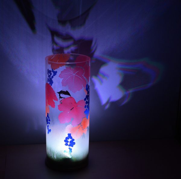 display of bird projected onto surface