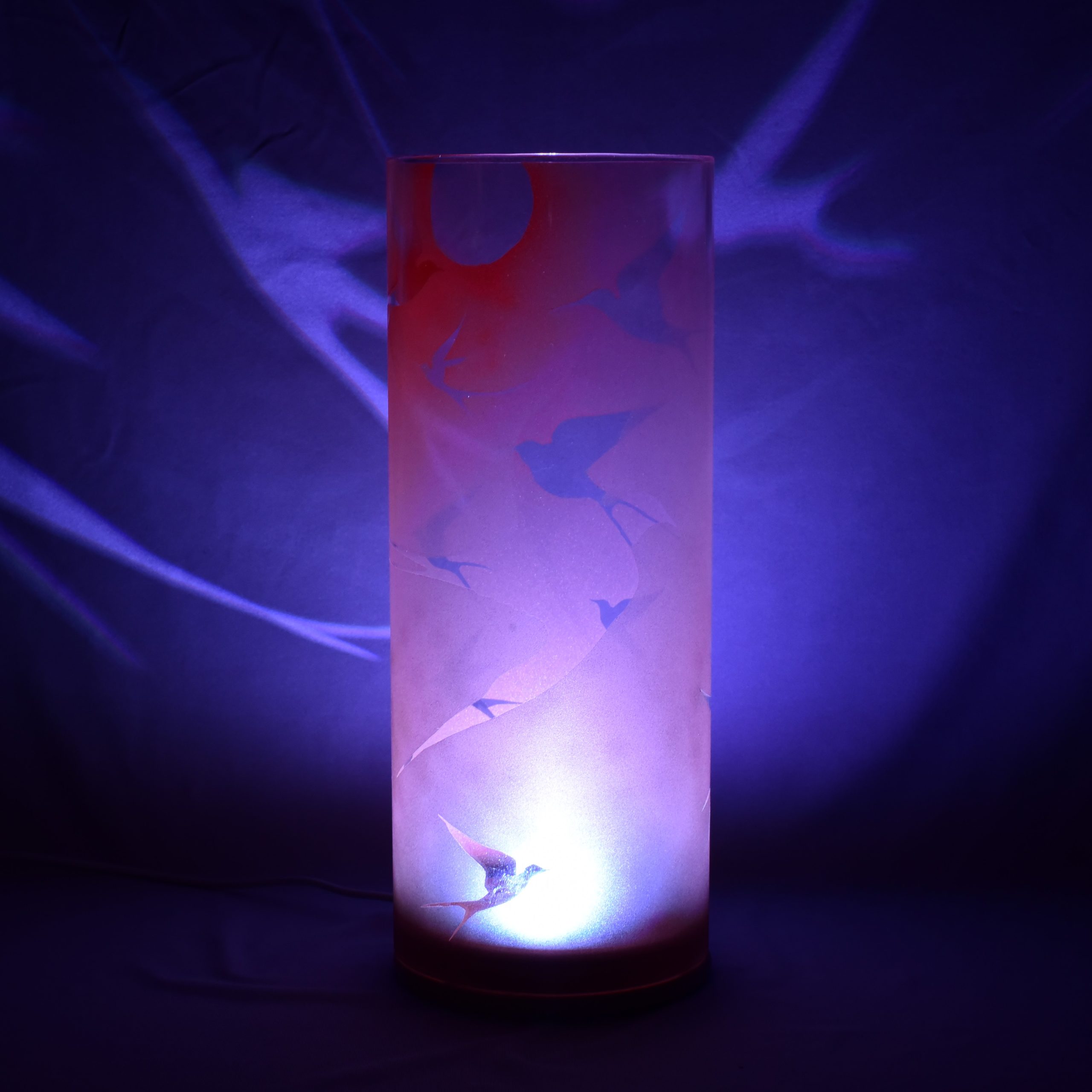 Swallows lit with internal LED